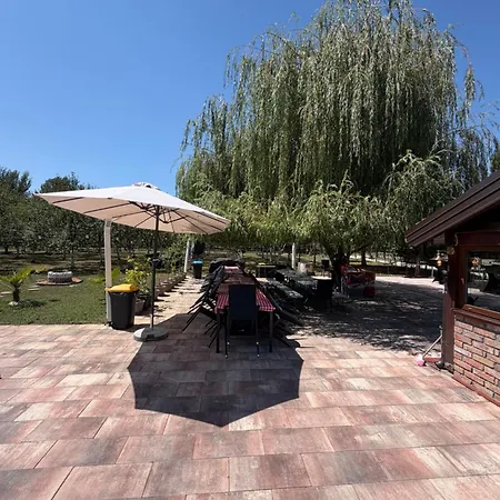 Ranc Lipe * Orasje